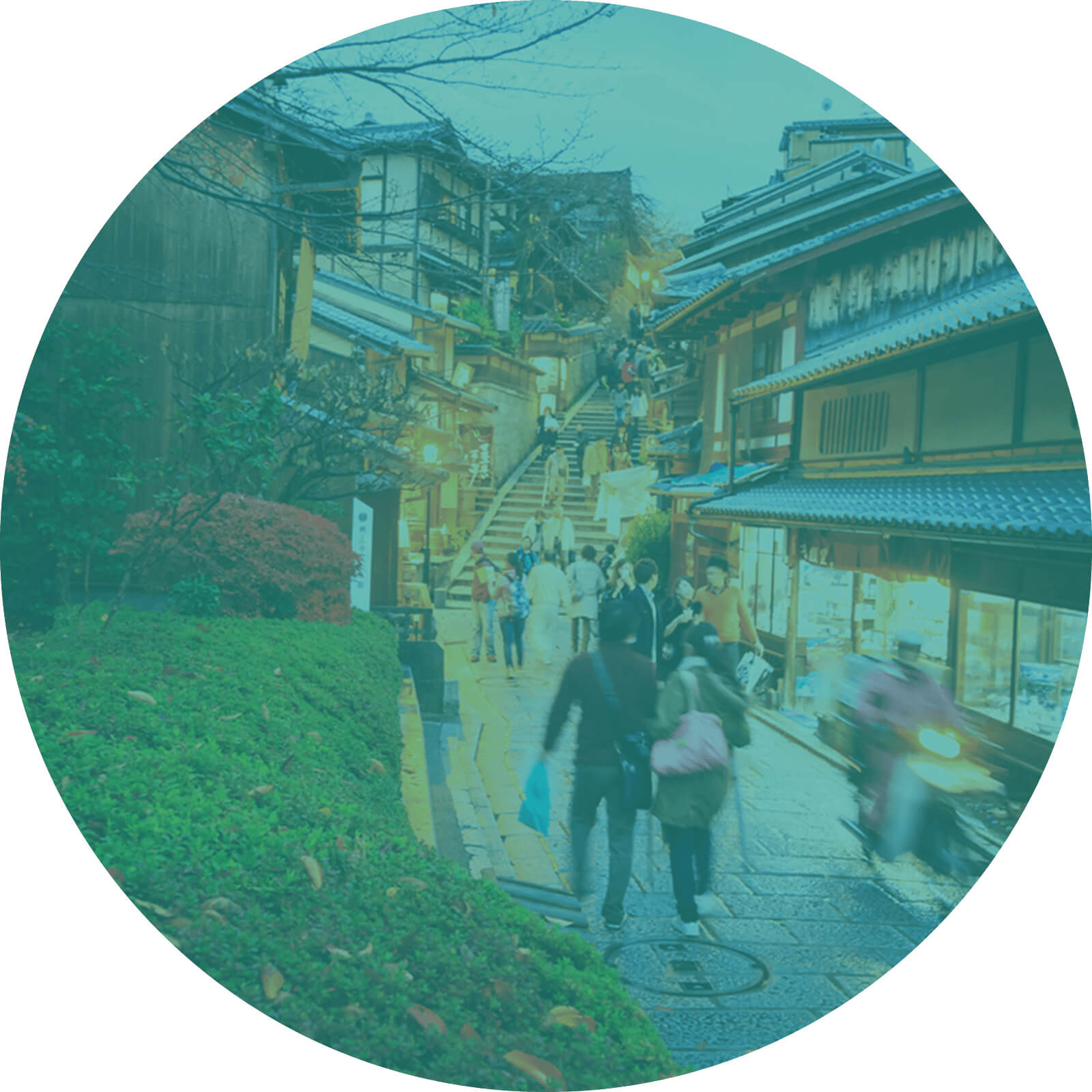 観光